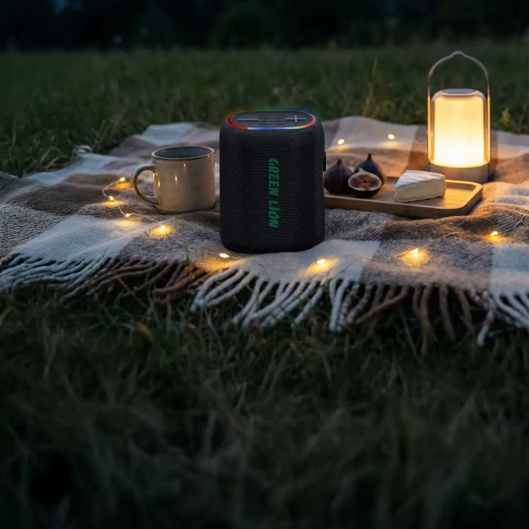 Green Lion WAVE 10 Speaker with 5000mAh Power Bank - Black