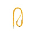Green Lion Crossbody Lanyard 1