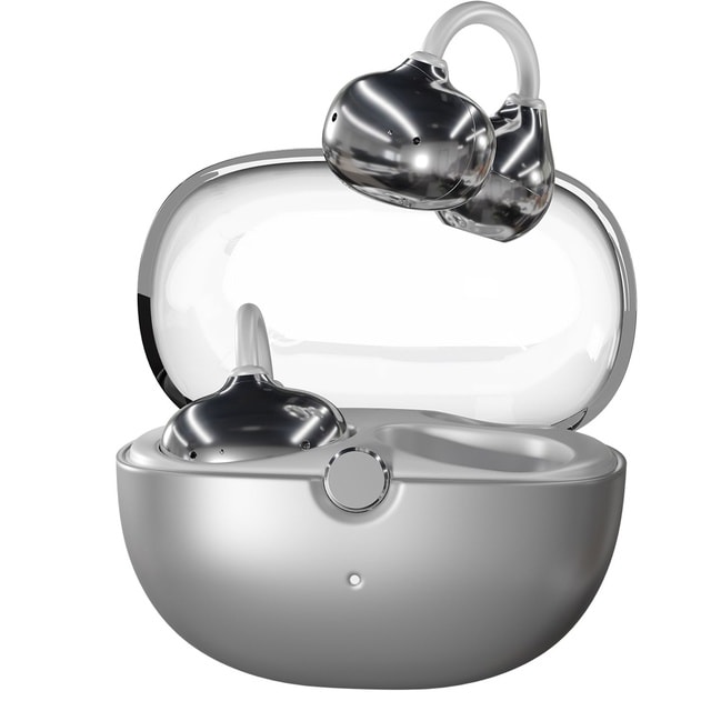 True Wireless Earbuds with Charging Case 2